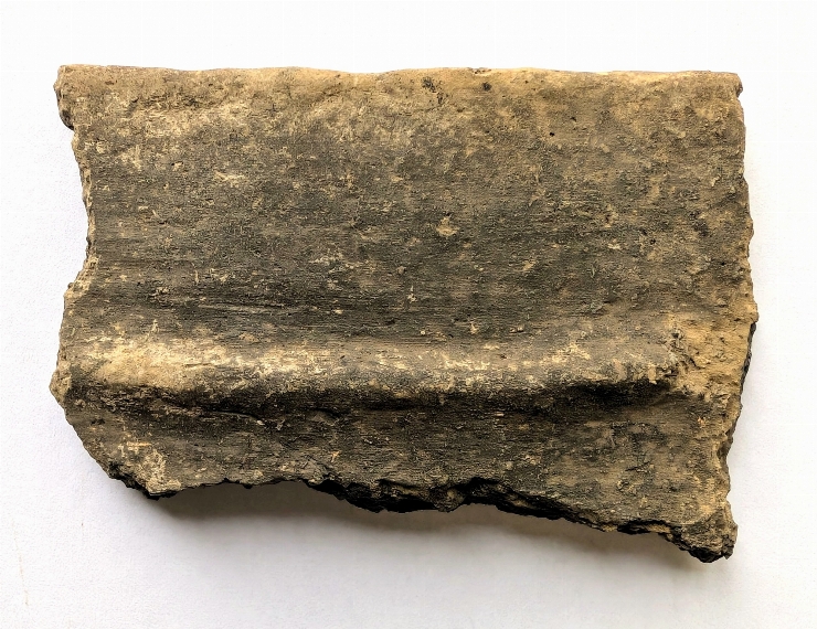 Fragment de vas