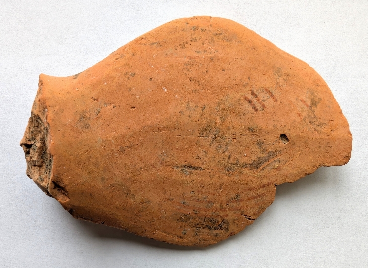 Fragment de binoclu
