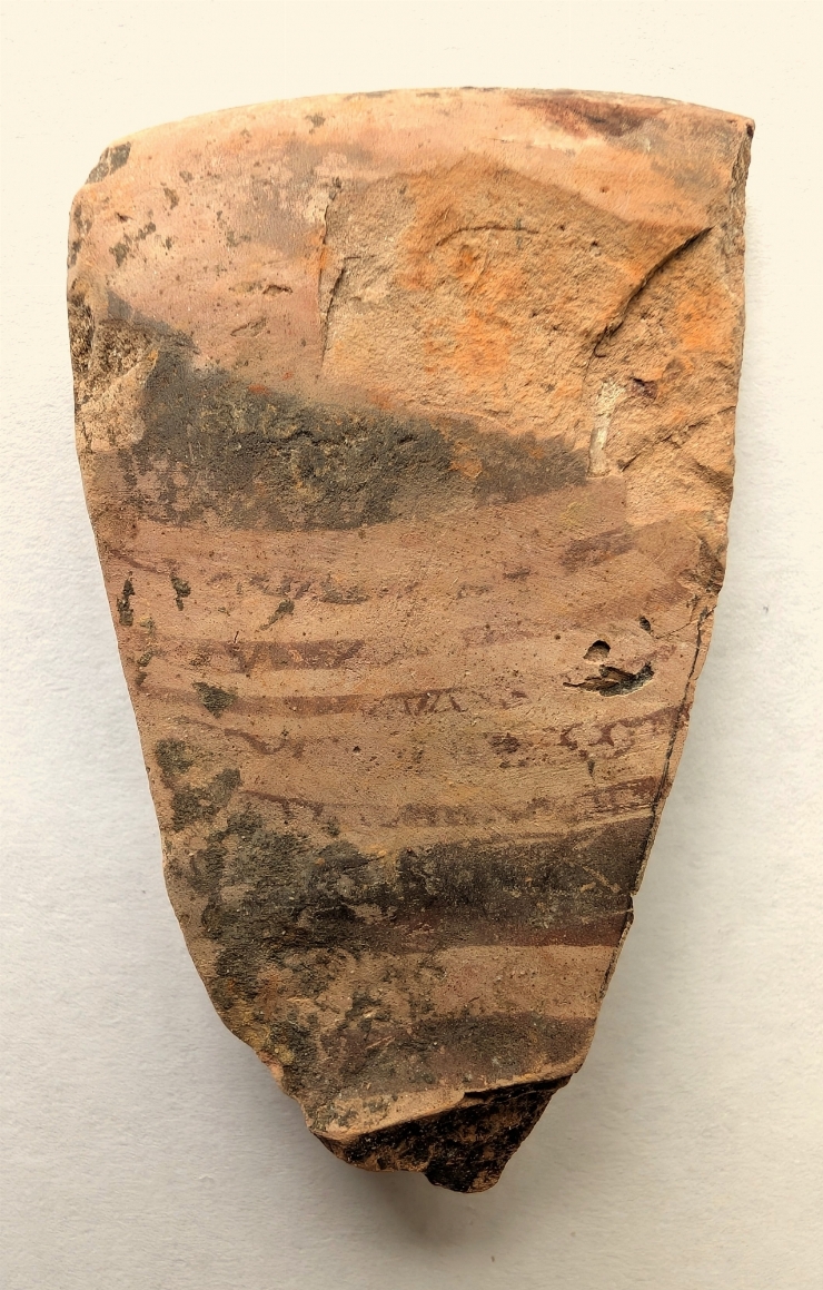 Fragment de pahar(cupă)