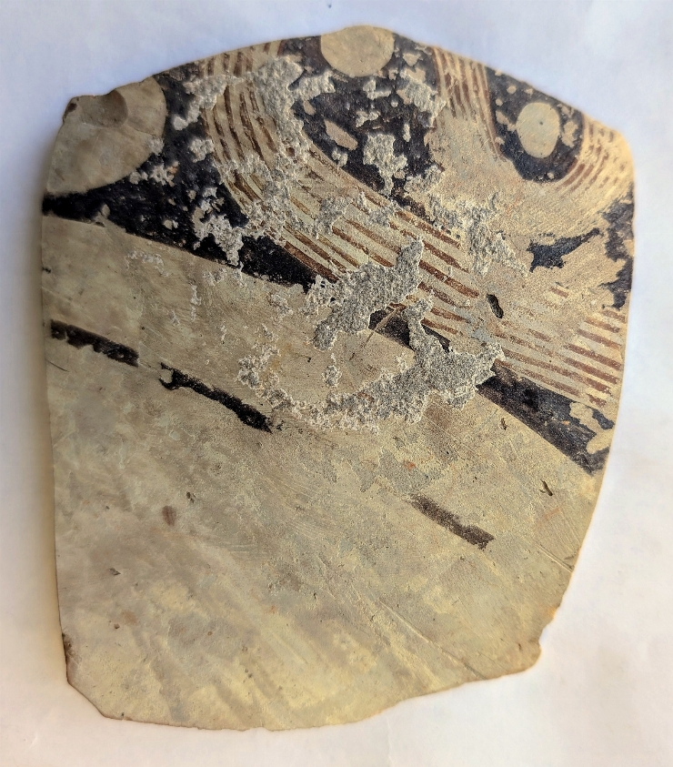 Fragment de vas cu corpul bitronconic
