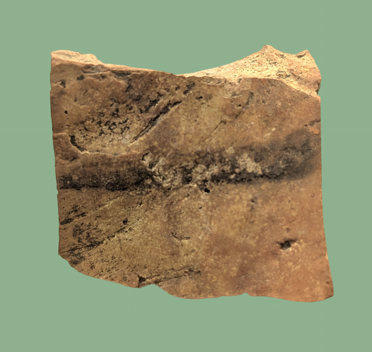 Fragment de vas