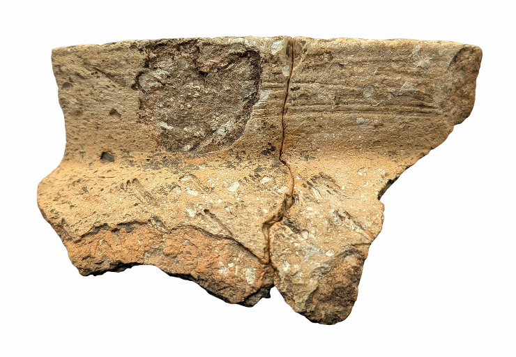 Fragment de vas lucrat cu scoică