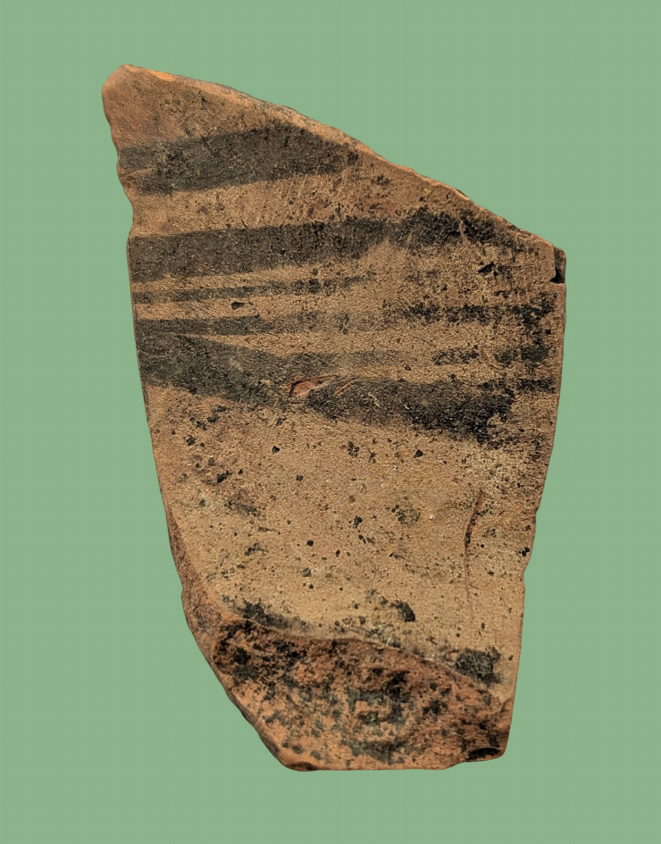 Fragment de cupă (pahar)