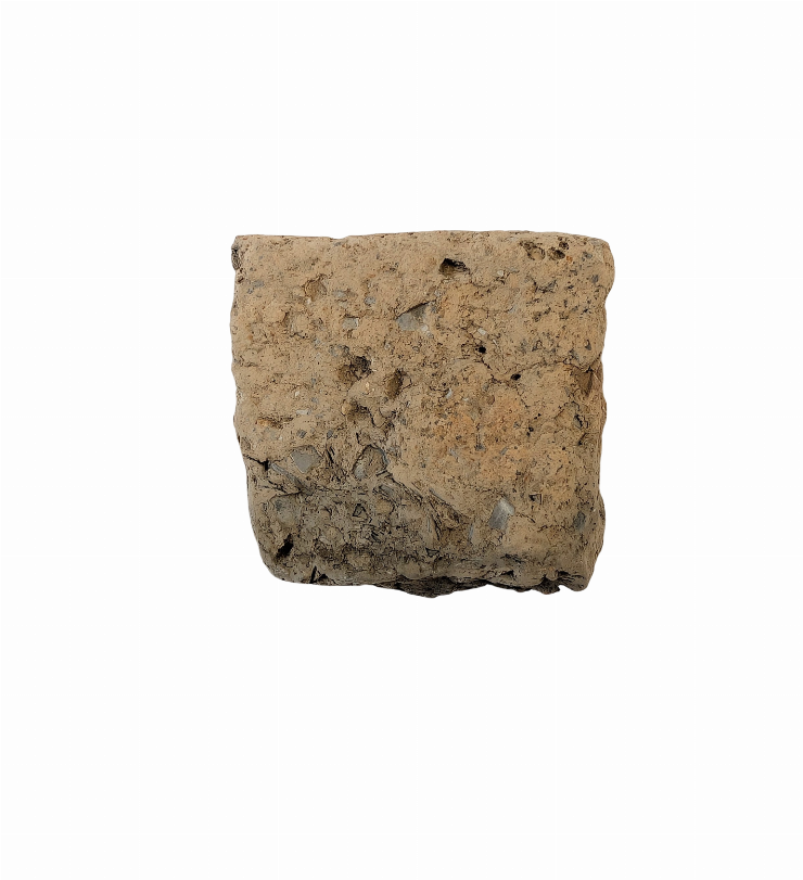 Fragment de vas lucrat cu scoică