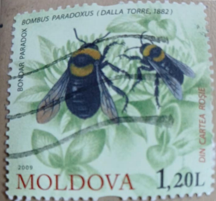 Timbru poștal  - 