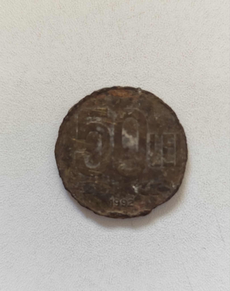 50 Lei românești