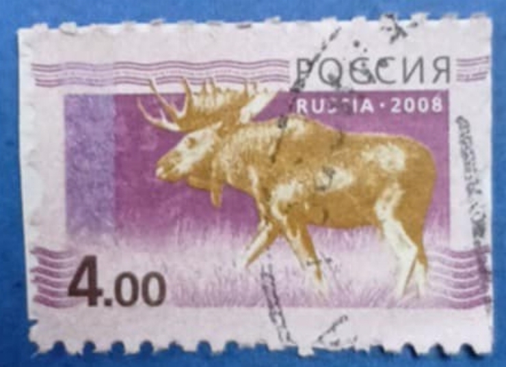 Timbru poștal - „Elan (Federația Rusă, 2008)”