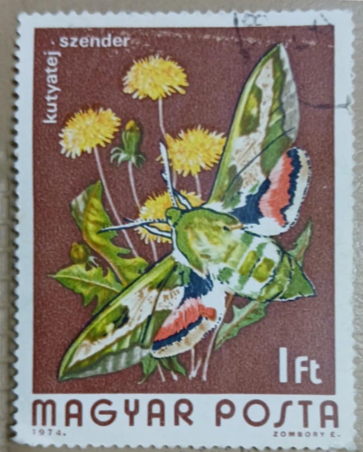 Timbru poștal - Kutaytej szen (fluture – Hemaris fucifor)