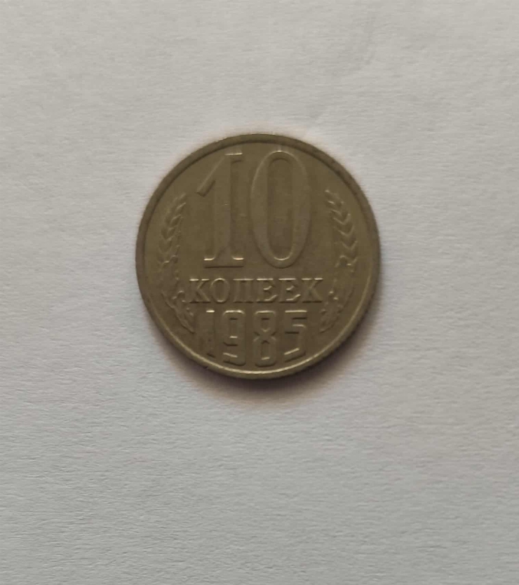 10 copeici 