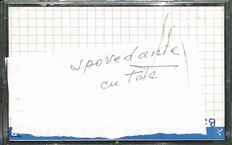 Vasilache, Vasile. Spovedanie cu tata. 