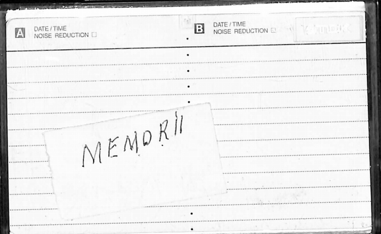 Vasilache, Vasile. Memorii. 