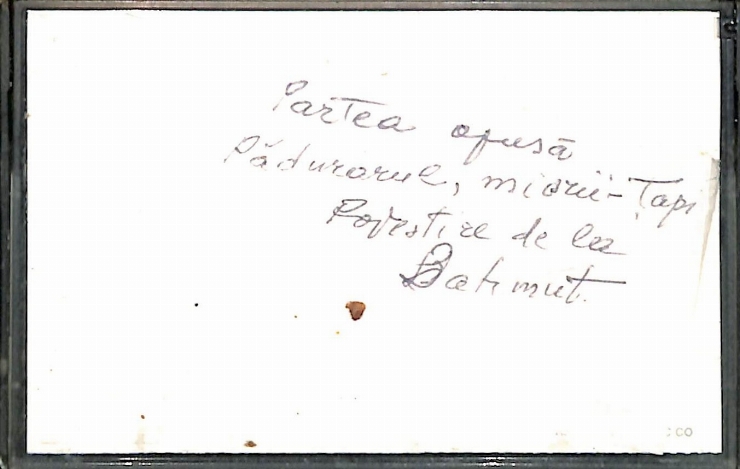 Vasilache, Vasile. Partea opusă. Pădurarul, miorii-Țapi. Povestire de la Bahmut.