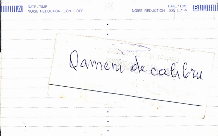 Vasilache, Vasile. Oameni de calibru. 