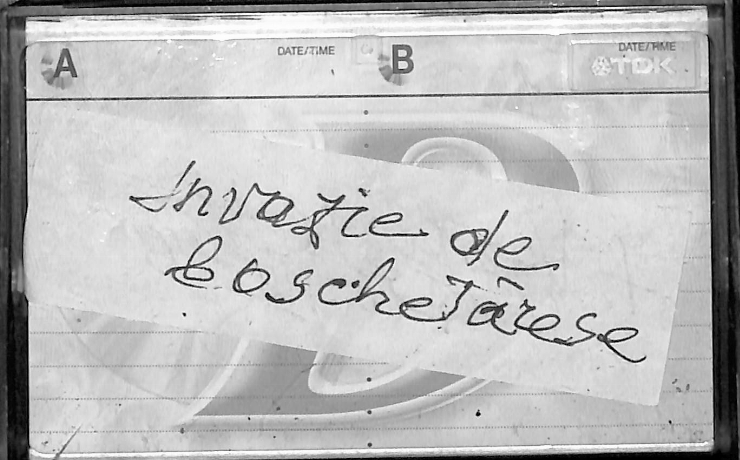 Vasilache, Vasile. Invazie de boschetărese. 