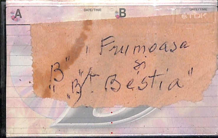Vasilache, Vasile „Frumoasa și Bestia” „B”.