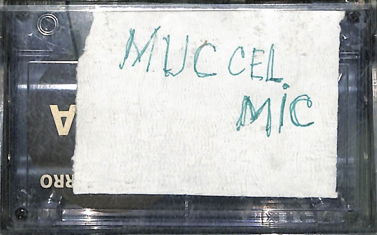 Vasilache, Vasile. Muc cel mic. 