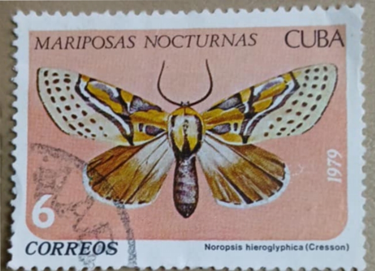 Timbru tematic -  „Noropsis heiroglyphica” (Cresson)