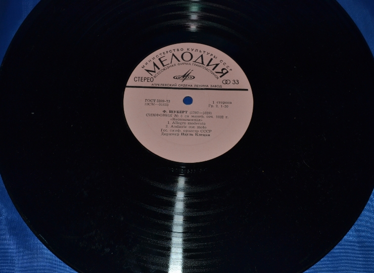 Disc din vinil