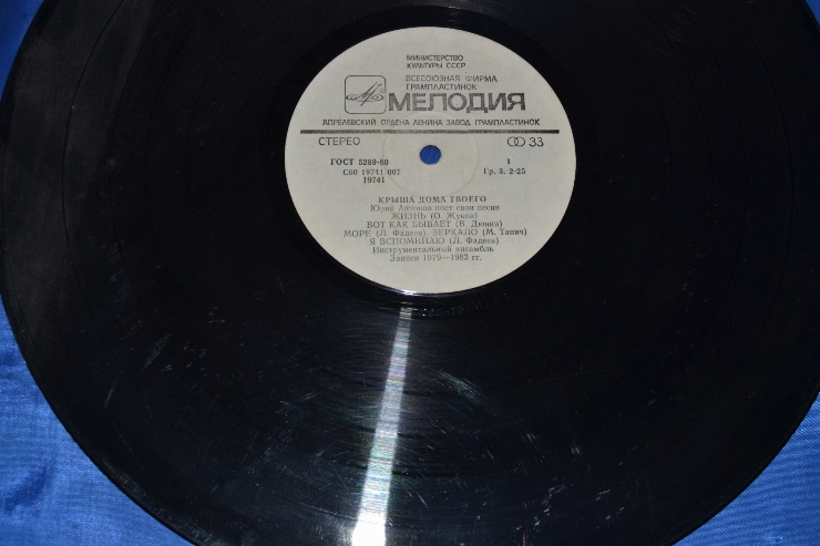 Disc din vinil