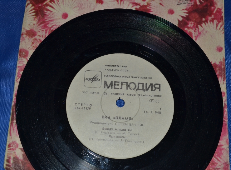 Disc din vinil