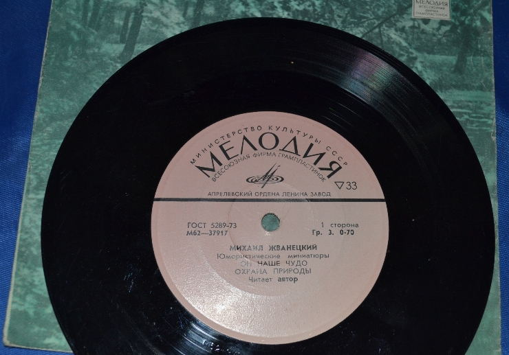 Disc din vinil