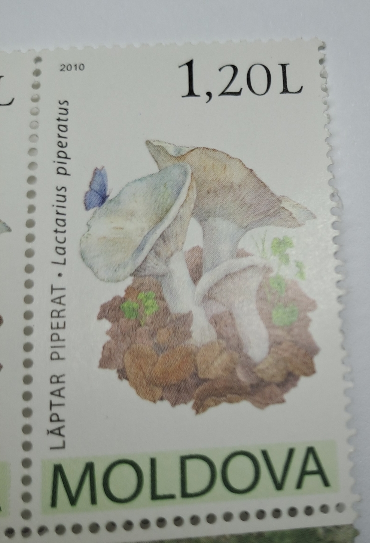 Marcă poștală
