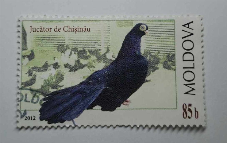 Marcă poștală