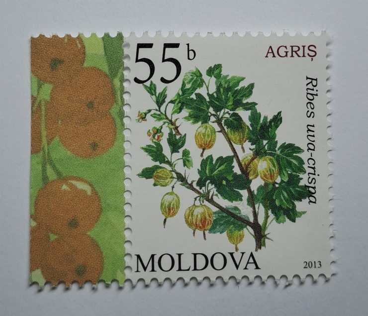 Marcă poștală