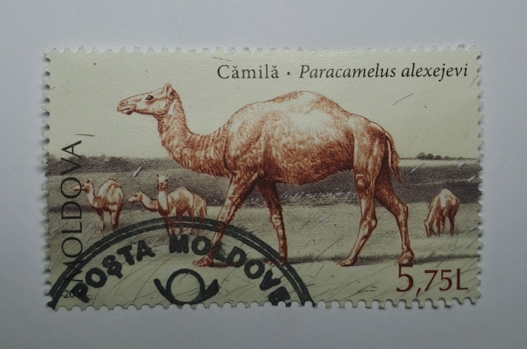 Marcă poștală