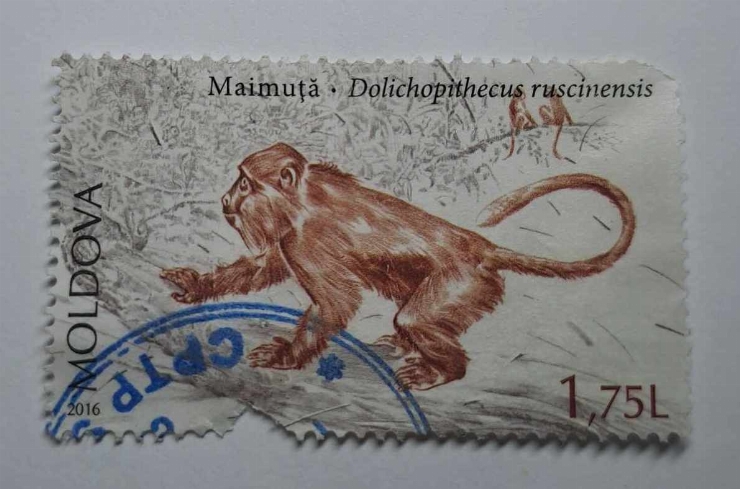 Marcă poștală