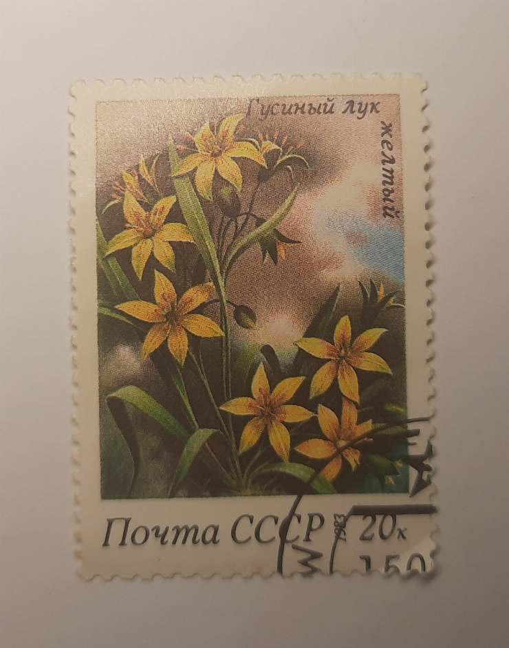 Marcă poștală