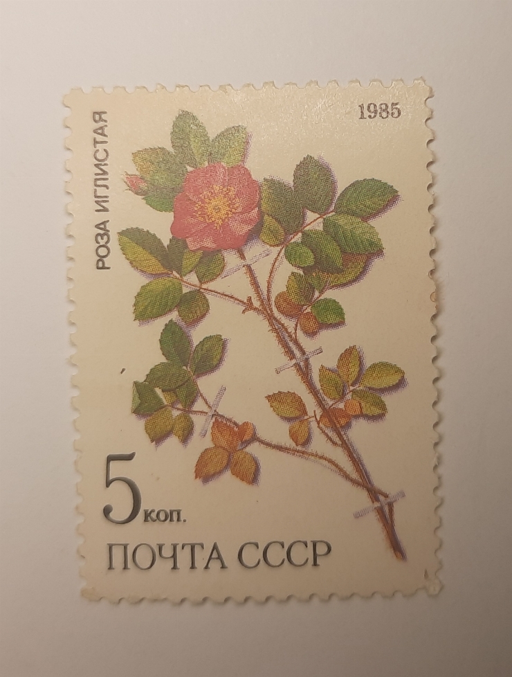 Marcă poștală