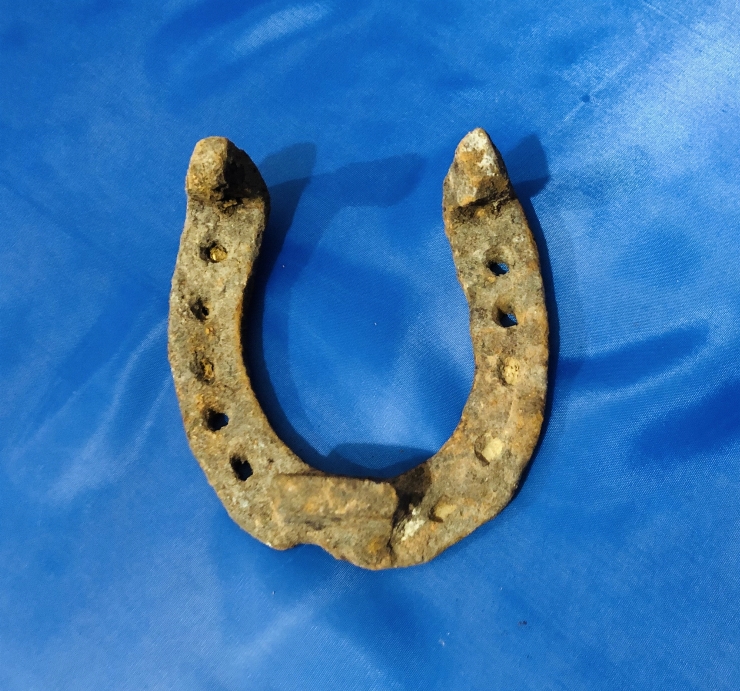 Potcoavă