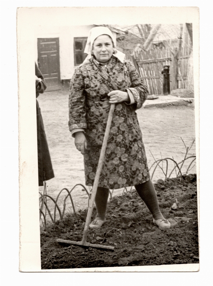 Fotografie