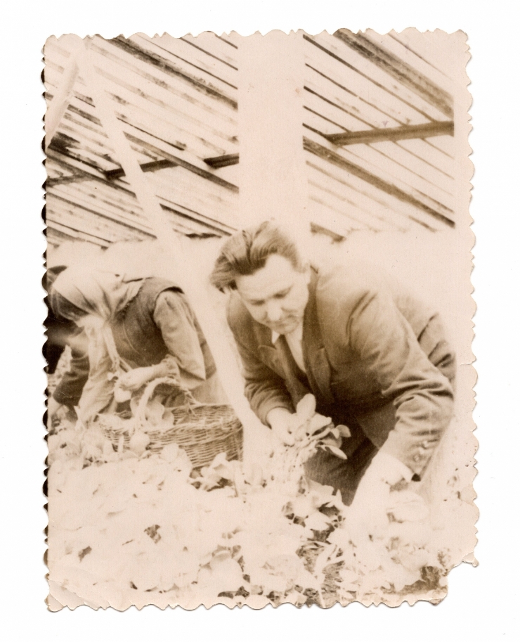 Fotografie