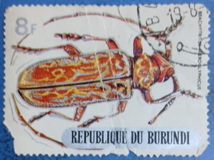 Timbru poștal - „Gândacul Buprestis”