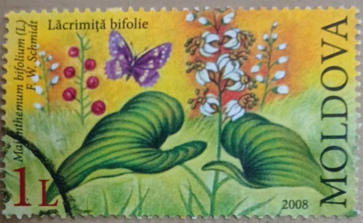 Timbru poștal - Lăcrimiță bifolie – Maianthemum bifolium