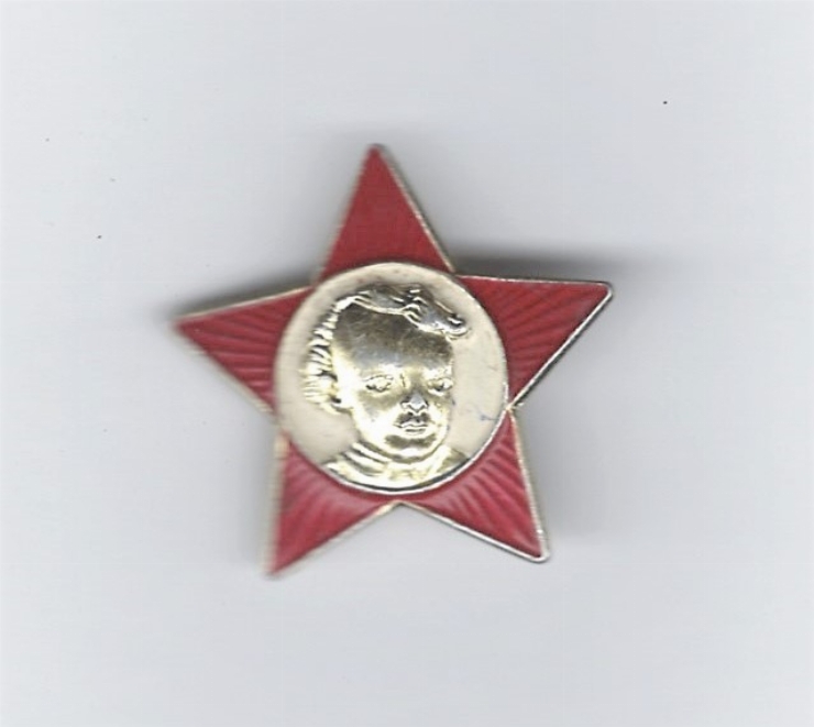 Insignă „V. Lenin”