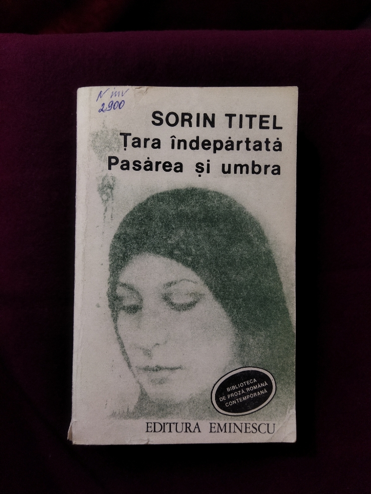 Țara îndepărtată, Pasărea și umbra 