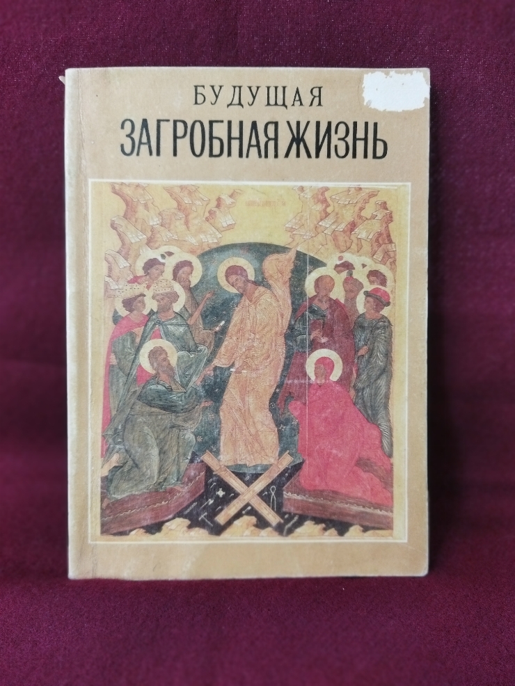 Budușceaea zagrobnaia jizni (Будущая загробная жизнь)