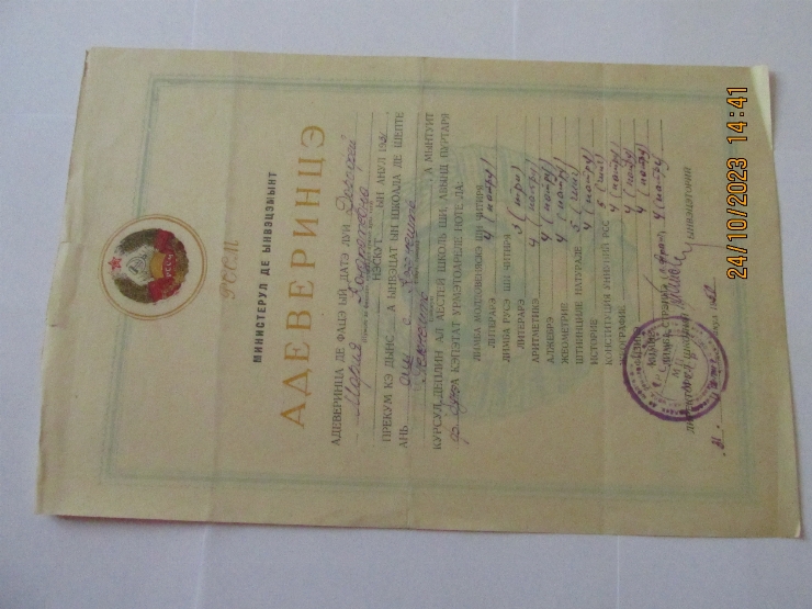 Document