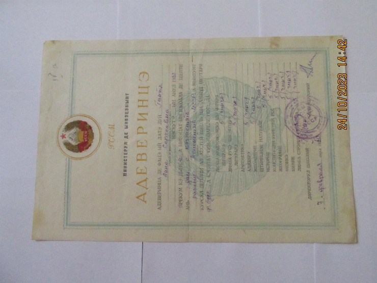 Document