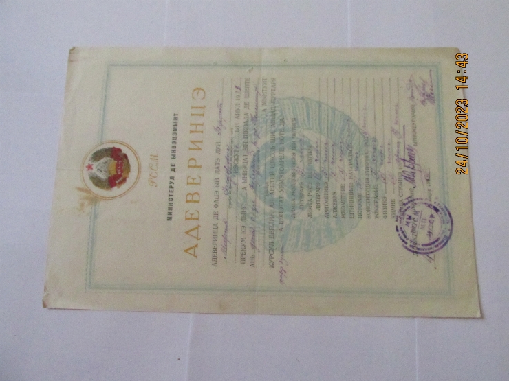 Document