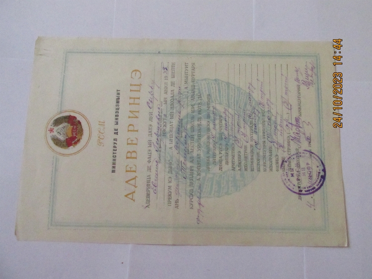 Document
