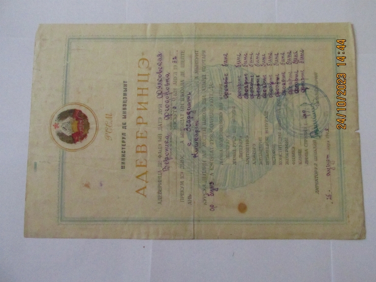 Document