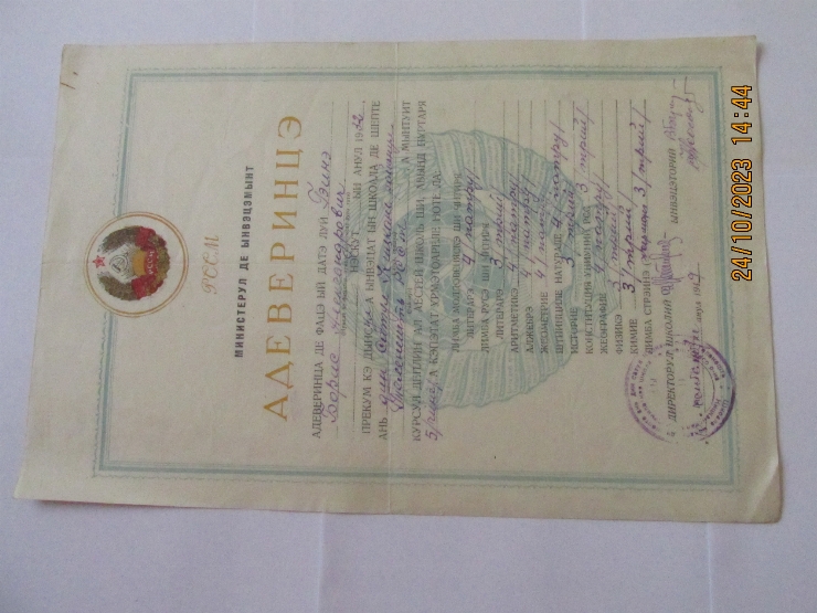 Document