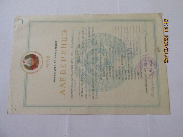 Document