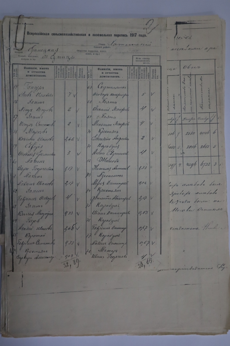 Informație cu privire la recensămîntul din anul 1917