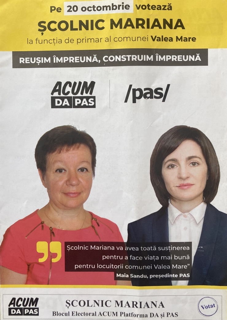 Publicitate electorală