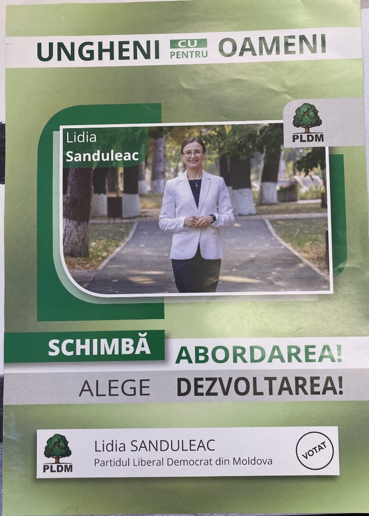 Pliant publicitar electoral